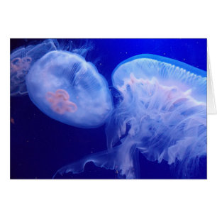 Cartão Equilíbrio da geléia