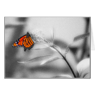 Cartão Equilíbrio delicado