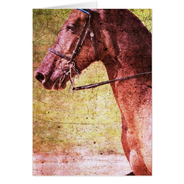 Cartão Equina de Montanha Rochosa (Frente)