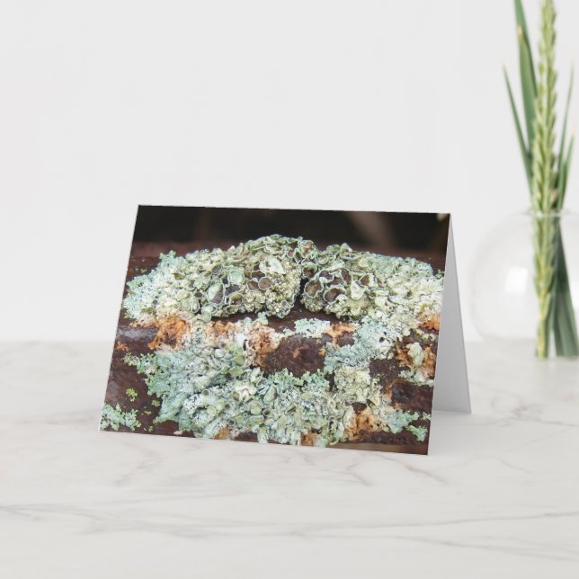 Cartão Equipamentos de Fazenda enferrujados e enferrujado (Frente)