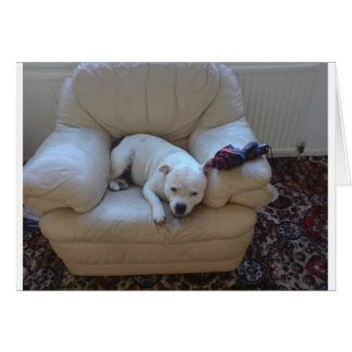 Cartão Equipe bonita