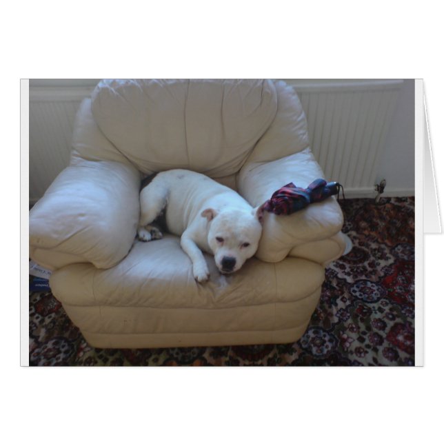 Cartão Equipe bonita (Frente Horizontal)