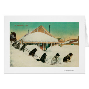 Cartão Equipe de Alaska Dogsled que descansa em SnowState