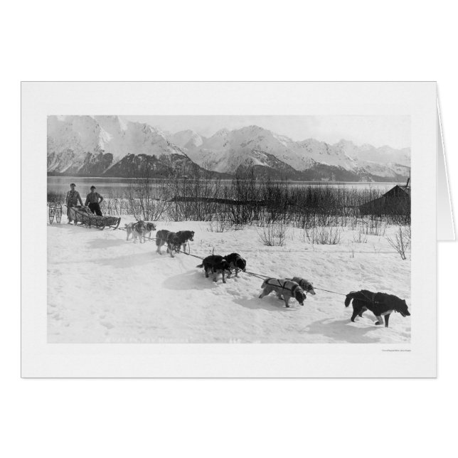 Cartão Equipe de cães roucos Alaska 1918 (Frente Horizontal)