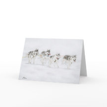 Equipe de competência do cão do trenó do rouco