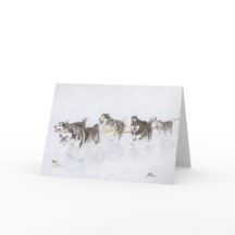 Equipe do Malamute do Alasca que funciona através