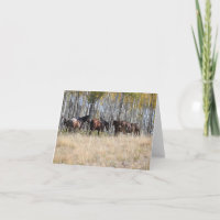Equitação nos notecards das montanhas