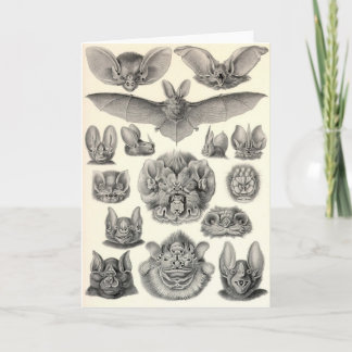 Cartão Ernst Haeckel - bastões do Chiroptera