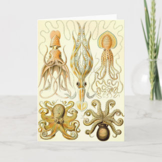 Cartão Ernst Haeckel - Gamochonia