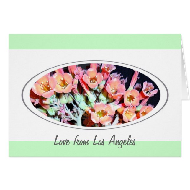 Cartão "Erva" bem sucedida (Frente Horizontal)