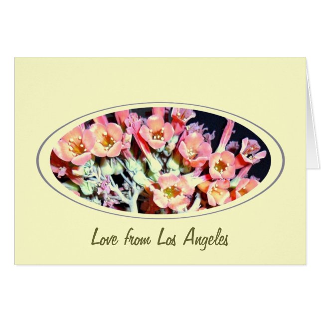 Cartão "Erva" bem sucedida (Frente Horizontal)