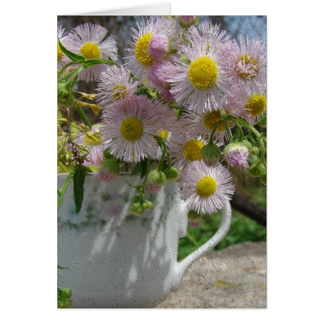 Cartão Erva bonito (Frente)