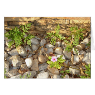 Cartão Ervas daninhas