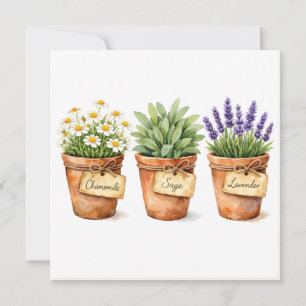 Cartão Ervas em aquarela crescendo nos vasos
