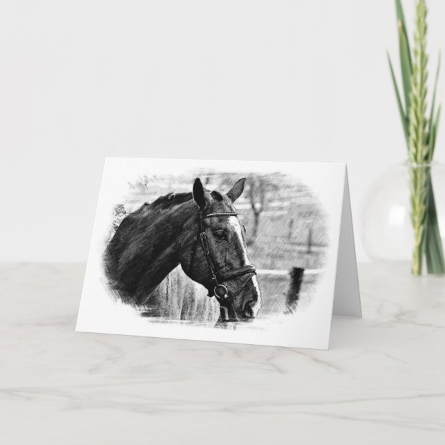 Cartão Esboço de Cavalo Preto e Branco (Frente)