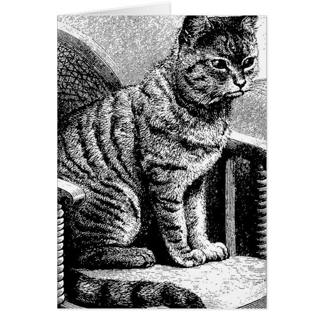 Cartão esboço de gato (Frente)