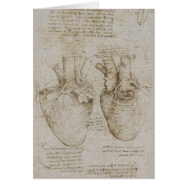Cartão Esboços humanos da anatomia do coração de da Vinci (Frente)