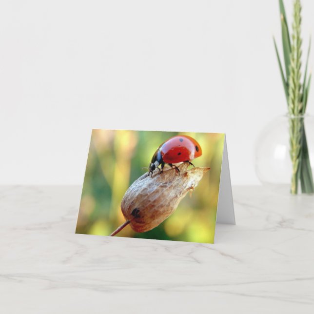 Cartão Escada (Frente)