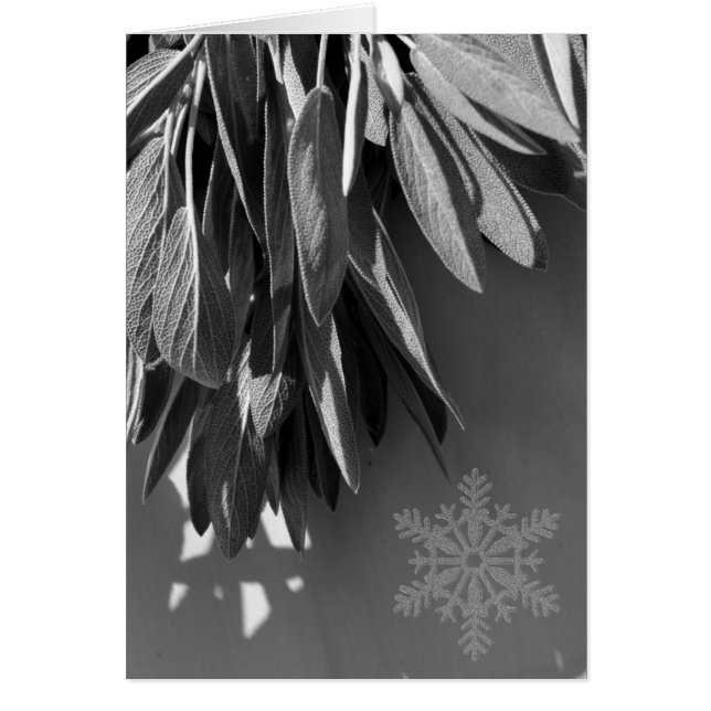 Cartão Escala de Cinza de Fresco (Frente)