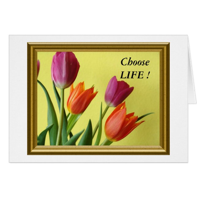 Cartão EscolhaLIFE! (Frente horizontal)