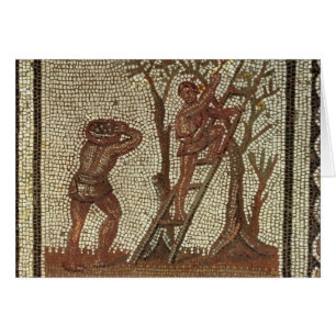 Cartão Escolhendo a fruta, mosaico romano