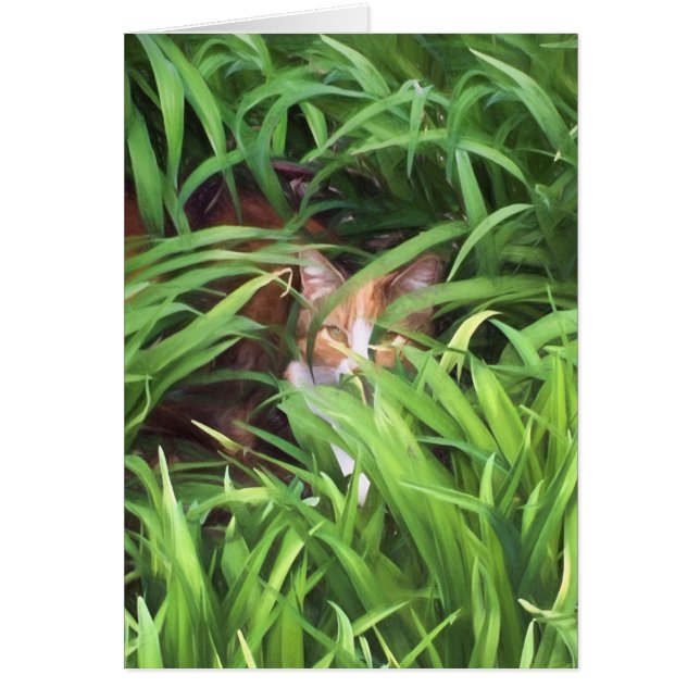 Cartão escondendo gato-de-mesa em folhas (Frente)
