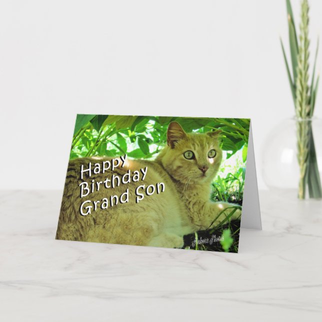 Cartão Esconder do sopro (Frente)