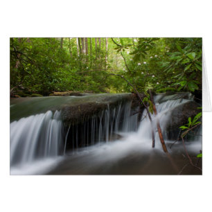 Cartão escondido das quedas