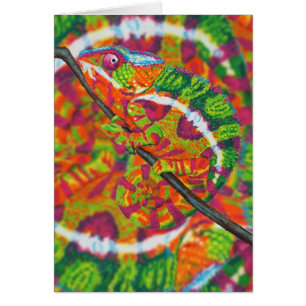 Cartão escondido do camaleão