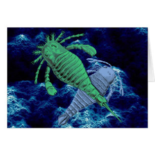 Cartão Escorpião de mar