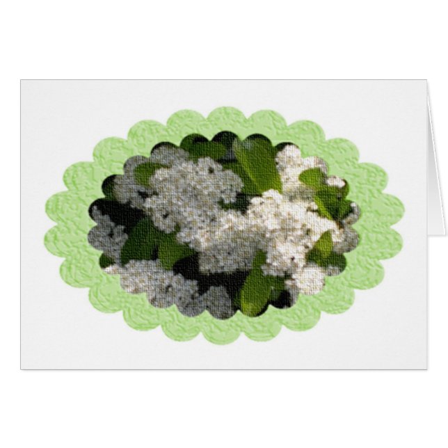 Cartão escreva uma nota pessoal (Frente horizontal)