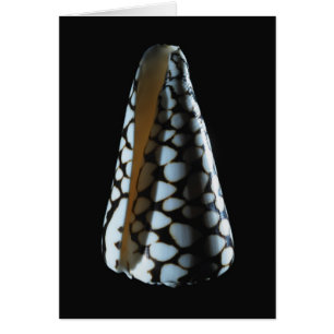 Cartão Escudo 2 do cone