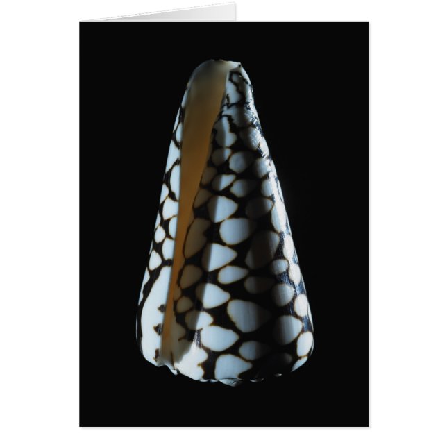 Cartão Escudo 2 do cone (Frente)