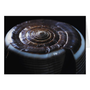 Cartão Escudo do cone