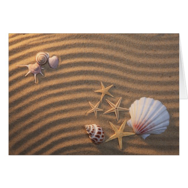Cartão Escudos e estrela do mar do mar (Frente Horizontal)