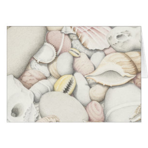 Cartão Escudos e seixos do mar no lápis colorido