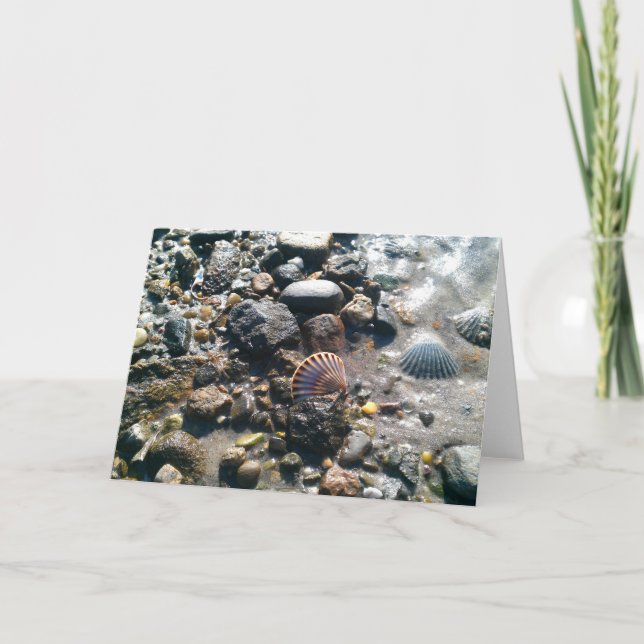 Cartão Escudos na praia (Frente)