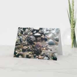 Cartão Escudos na praia