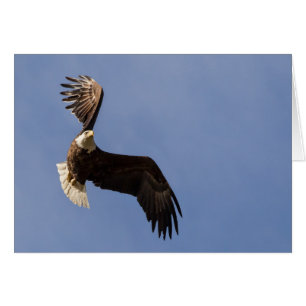 Cartão Esculpir O Céu