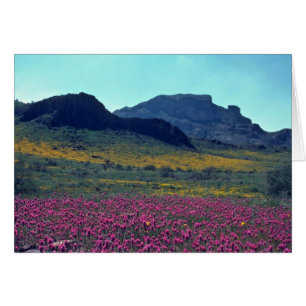 Cartão Espaços Coloridos