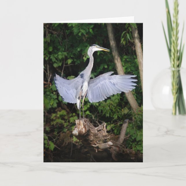 Cartão Espalhe Suas Asas (Frente)