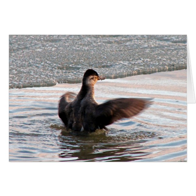 Cartão Espalhe Suas Asas (Frente Horizontal)