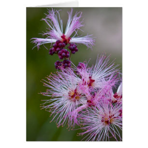 Cartão Espanador feericamente
