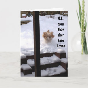 CARTÃO ESPANEL ESTÁ PRONTO PARA DIZER ***FELIZ ANIVERSÁRI