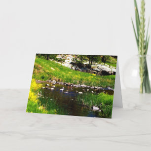 Cartão espanhol perdido