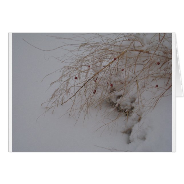 Cartão Espargos que vão semear (Frente horizontal)