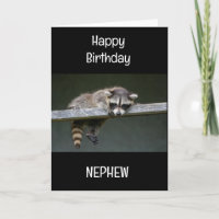 ESPECIAL *NEPHEW* NO SEU ANIVERSÁRIO!