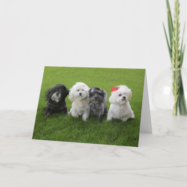 Cartão Espera (Frente)