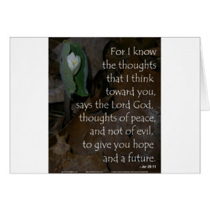 Cartão Esperança do 29:11 de Jeremiah para o futuro