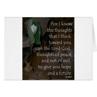Cartão Esperança do 29:11 de Jeremiah para o futuro